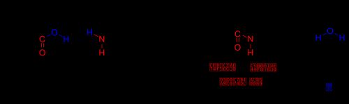 두 아미노산의 탈수축합으로 펩타이드 결합(적색)이 형성되고, 물 분자(청색)가 빠져나온다. R기(곁사슬)