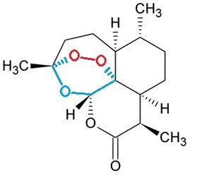 아르테미시닌 (파란색으로 표시된 부분은 트리옥세인 구조이고 빨간색으로 표시된 부분이 엔도페록시드 부분이다.)