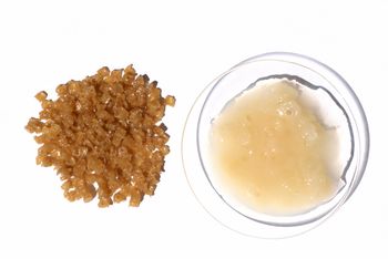 토끼 가죽으로 만든 아교(토피교)의 과립과 액체 형태