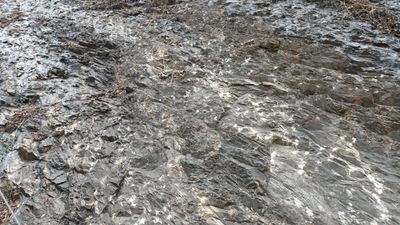 영월군 영월읍 연하리 743-3 영월로 도로변의 막골층 노두(북위 37° 11′ 19.3″ 동경 128° 30′ 57.5″﻿ / ﻿37.188694°N 128.515972°E﻿ / 37.188694; 128.515972)