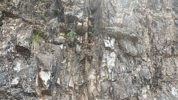 영월군 남면 북쌍리 남애 단면의 영흥층