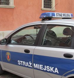 Straż Miejska}}) 차량의 표지판