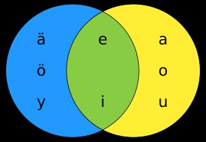 핀란드의 모음조화를 나타내는 벤 다이어그램
