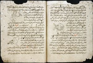 헤르메스 트리스메기스투스에게 귀속된 텍스트인 키라니데스의 14세기 아랍어 필사본 페이지