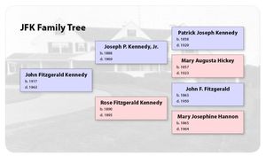 케네디 가문의 3세대를 보여주는 아넨타펠 가계도
