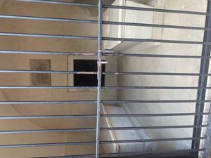 조지 워싱턴(오른쪽)과 마사 워싱턴(왼쪽)의 묘