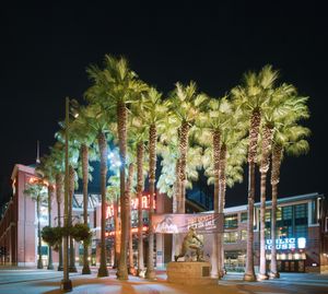 윌리 메이스 동상과 24그루의 야자수가 있는 정문