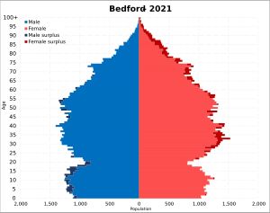 2021년 인구 피라미드