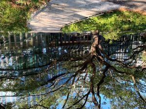 A.B. 프리먼 경영대학