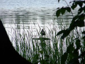 드라바 국립공원