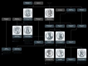베레니케가 헤로데 왕조에 속해 있고 신약 성경에 등장하는 것을 보여주는 도식적인 가계도
