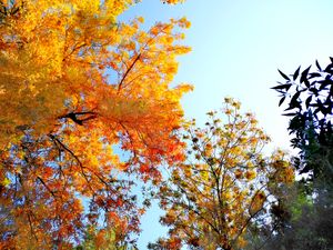 카살라 우기의 끝