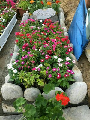 라바산에 있는 키아로스타미의 묘