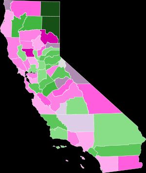 카운티별 결과:
