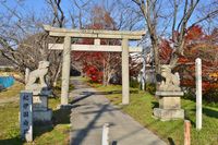 후모리 신사(와카야마시 후추)의 기이 국부 터 비석