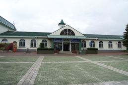 신토쿠역(2013년 8월)