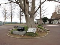 시모사 총사 터.현재는 코다이 공원이며, 국부 터도 주변으로 추정된다.