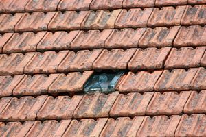 점토 기와 사이의 유리 기와