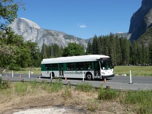 요세미티 밸리 셔틀 시스템 버스, 무료 버스 서비스