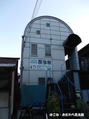 하코네・오다와라 곤충관