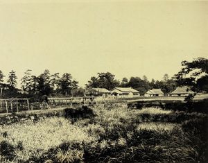 마츠다이라 시험 농장