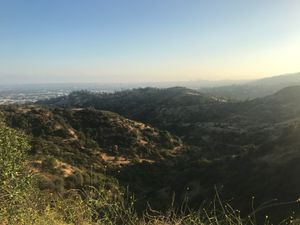 그리피스 공원의 전망