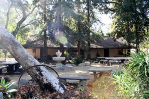 카탈리나 베르두고 아도비는 시에서 가장 오래된 건물이다. 이곳은 1784년 호세 마리아 베르두고에게 하사된 란초 산 라파엘에 지어졌으며, 현대의 글렌데일 전체를 포함했다.