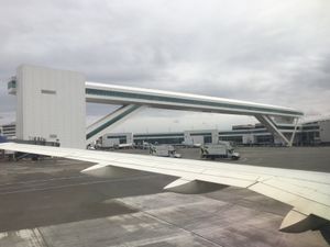 시애틀 터코마 국제공항의 IAF 보행자 통로