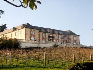 나파와 소노마를 중심으로 한 캘리포니아의 와인 산지는 세계적으로 유명한 와인 생산 지역이다.