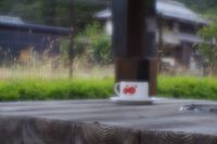 소프트 포커스의 예