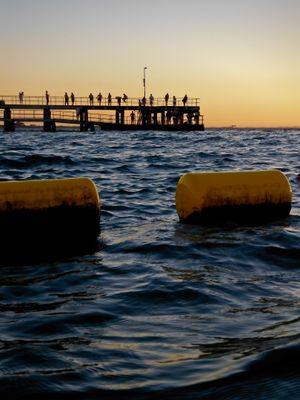 쿠지 해변의 상어 방벽 부유물과 부두