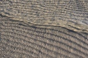 파도는 해변에 물결 자국을 만든다.