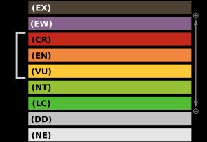 IUCN의 적색 목록 범주