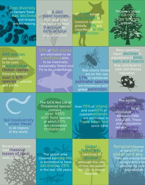 생물다양성과 식량의 관계를 설명하는 인포그래픽