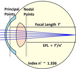 후면 초점 거리 및 EFL을 보여주는 사람 눈의 스케치