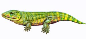 페데르페스 생체 복원도