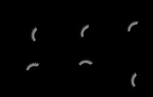 Ramsay와 동료들 (2015)의 헬리코프리온의 턱 움직임