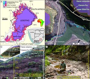 층서 맥락 및 표본 AM 4766, 65의 위치 지도
