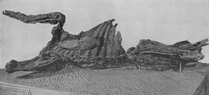 AMNH 5060: 피부 흔적이 있는 E. annectens