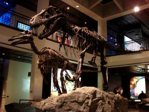 E. annectens가 티라노사우루스에게 사냥당하는 모습