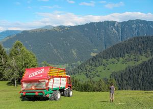 스위스 알프스에서 건초 수확