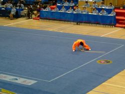 현대적인 형태는 이 창술 시연에서 볼 수 있듯이 우슈 스포츠에 사용된다.