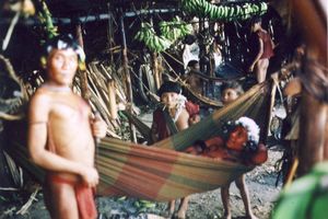 야노마미족은 아마존 열대 우림에 거주하는 약 32,000명의 원주민 집단이다.