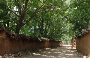 시라즈 정원. 북쪽의 드라이브길은 도시 확장 이전부터 존재했던 정원을 가지고 있다.