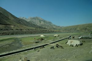 판지시르의 쿠치족(Kochi people)