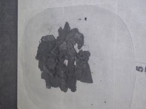 알렉산드로스 화재(페르세폴리스 박물관)에서 불에 탄 섬유의 잔해