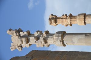 m}}이며 이중 황소 모양의 주두로 장식되어 있다.