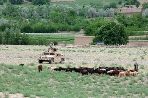 아프가니스탄 카피사주의 타가브 구.