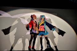 하츠네 미쿠와 메구리네 루카의 코스프레 (2011년)