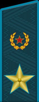 러시아 공군 대장 계급장